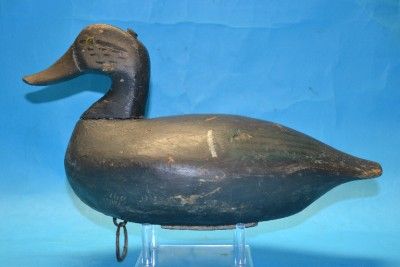 Black Duck Decoy Chincoteague Ira Hudson 1876 1949