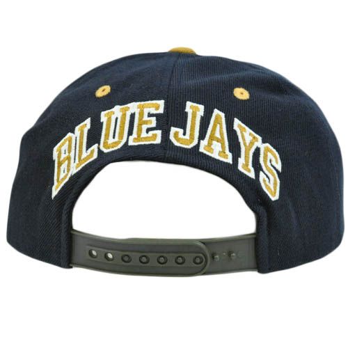 MLB American Needle Blockhead Earthtone Wool Snapback Hat Cap Toronto 