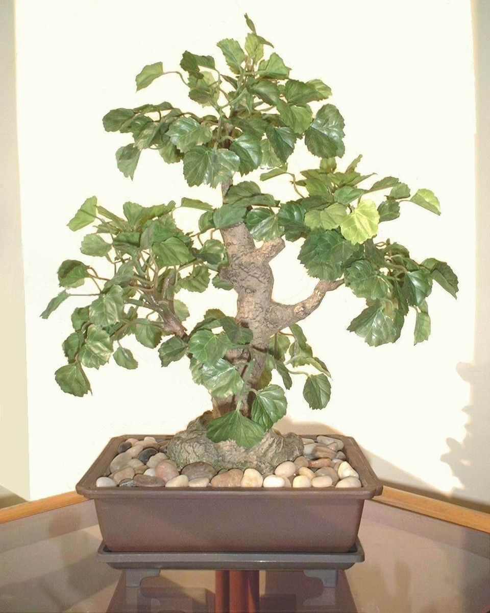 Polyscia Bonsai 13 33cm Artificial Silk Plant Faux Replica Imitation 