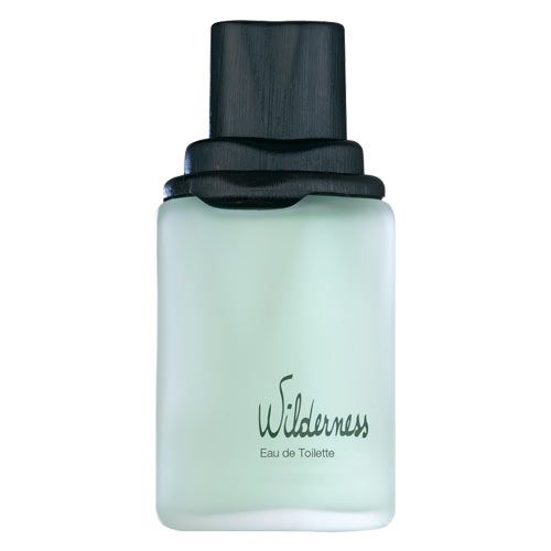 AVON WILDERNESS EAU DE TOILETTE SPRAY 100 ml