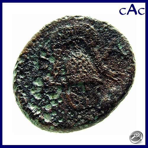 CAC Alexander III AE17 Shield Herakles Crested Helmet CA 323 310 