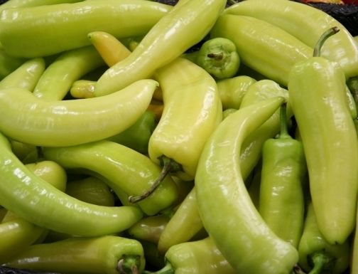 Sweet Hungarian Banana Pepper Seeds 50 Seeds 2012