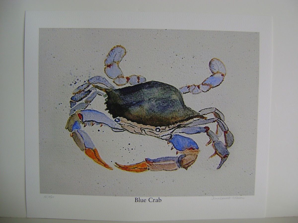 Blue Crab Signed and Numbered Print by Anna Barnwell Williams