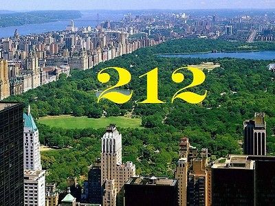   361 9028 MANHATTAN NYC AREA CODE PHONE NUMBER ON SIM CARD TELEPHONE