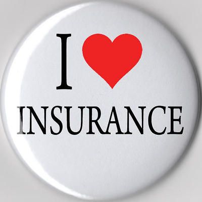 love insurance button flo halloween costume 