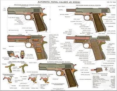 HUGE Colt 1911 A1 45 cal Color Poster US Army WW2