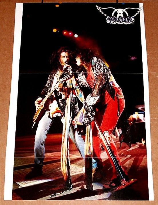 Aerosmith Steven Tyler Joe Perry Live in Concert Poster