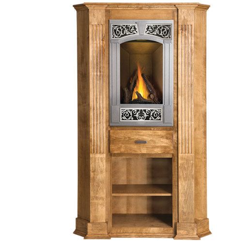 Napoleon Gas Fireplace GD19 Vittoria Direct Vent Small Cabinet mantel 