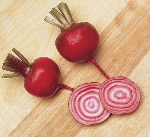 beets chioggia 100 sweet beet b vitamins