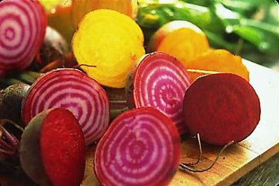 Mixed Gourmet Beets Vegetable Seeds  on All Seeds with 