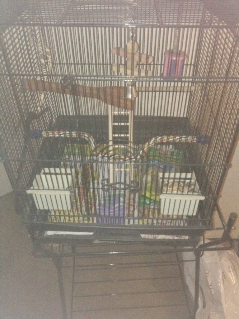 Bird Cage and Stand