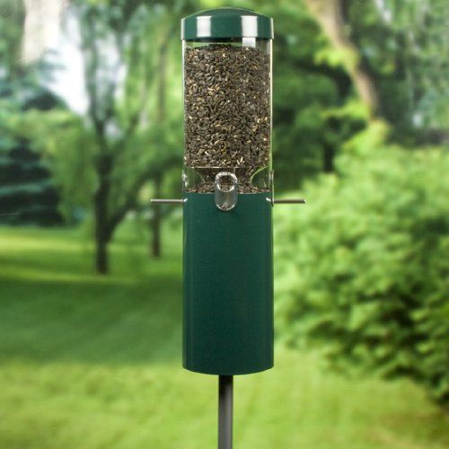 Birds Choice Squirrel Proof Bird Feeder with Built in Squirrel Baffle 