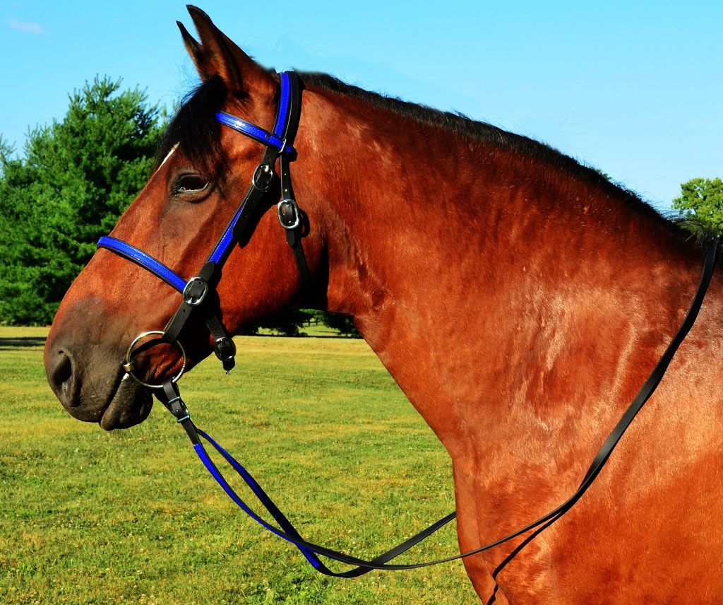 Blue Black English Bridle Reins Trail Endurance Beta Biothane Any Size 