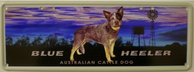 Blue Heeler Australian Cattle Dog Display Number Plate