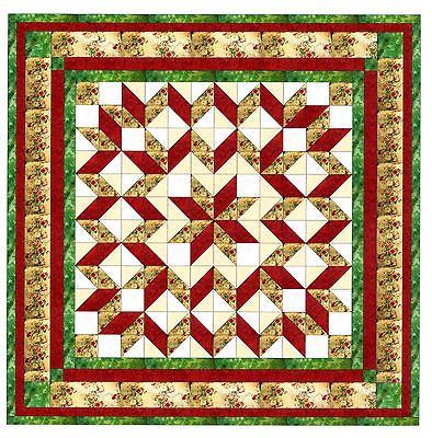 Easy Quilt Kit/Galaxy Star/Gorgeous Red, Green/Pre cut Fabrics Ready 