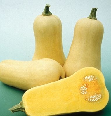  Squash Waltham Butternut 25 Vegetable Seeds