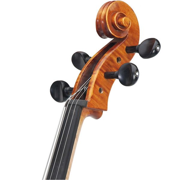 New Cecilio 4 4 Cello Oil Finish Flamed Ebony CCO 600