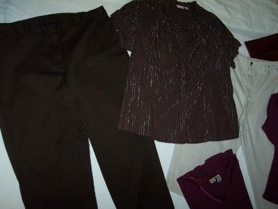   Brown Velvety Pants 18~CATO Woman Brown Short Sleeve Blouse 18/20