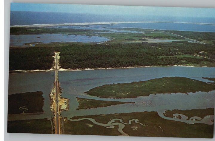 Postcard Chincoteague & Assateague IslandVirginia/VA