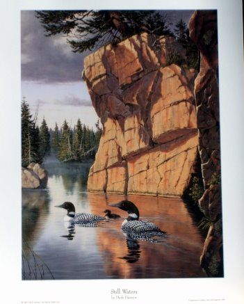 DERK HANSEN LOON PRINT Beside Still Waters 8.5X12