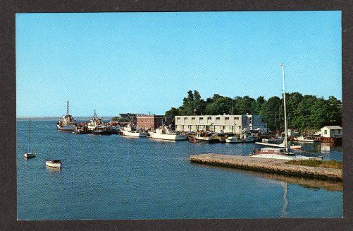 MA US Coast Guard Woods Hole Cape Cod Mass Postcard