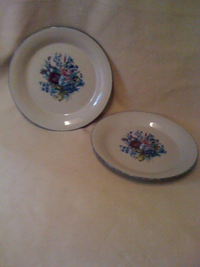 Home and Garden Party pottery stoneware floral dinner plates