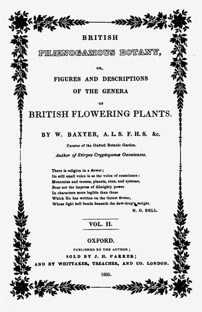 1834 Baxter HC Botanical Engr Symphtum Comfrey 101