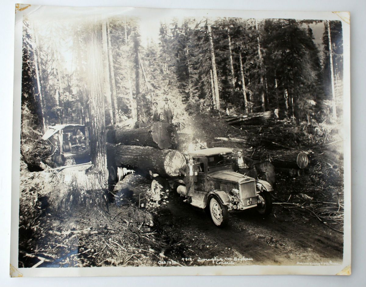 Dated 1939 Darius Kinsey Logging Photo