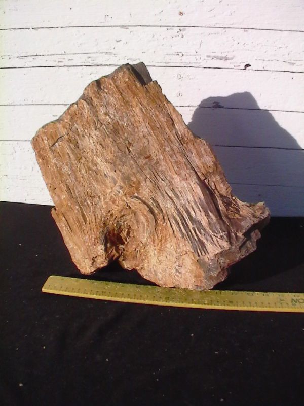 Petrified Wood Landscape Rock Decorative 614 36 Lbs