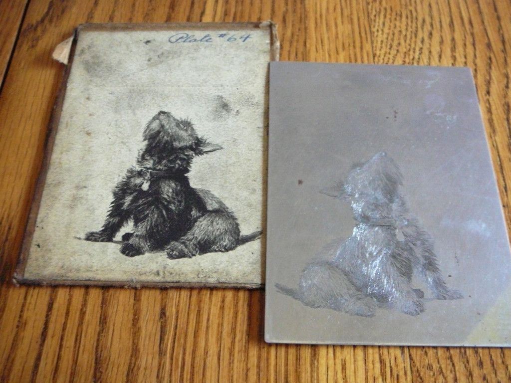 Morgan Dennis Original Steel Etched Scottie Dog Plate