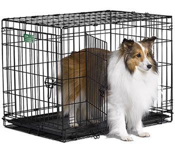 New 30 Double Door Dog Crate w Divider Icrate 1530DD