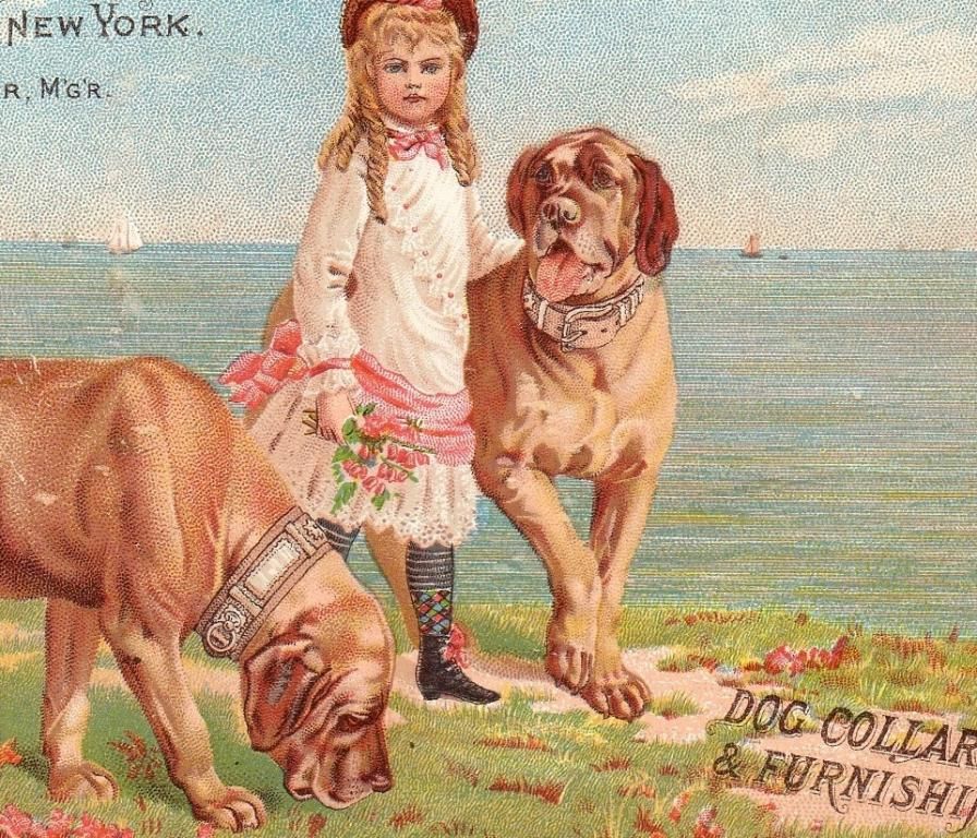 1800s Old Bullmastiff Dog Collars New York Adv Card