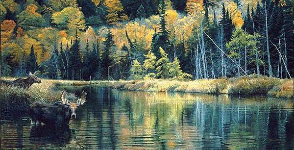 Brent Townsend Hailstorm Creek Ltd Ed Print Pair of Moose Image 857