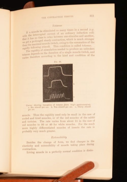 1905 Elements of Human Physiology Ernest H Starling Seventh Edition