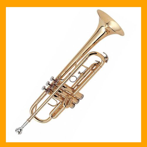 Eldon ETP102 BB Trumpet Outfit Yellow Brass NEW