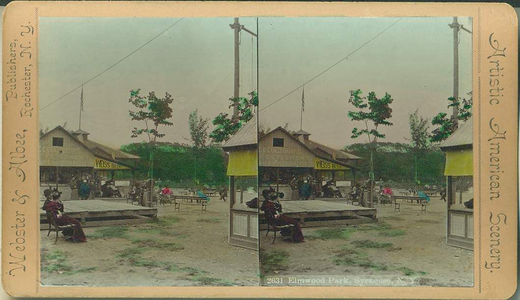 NEW YORK   Syracuse, Elmwood Park c1880 Hand Colored STEREOVIEW