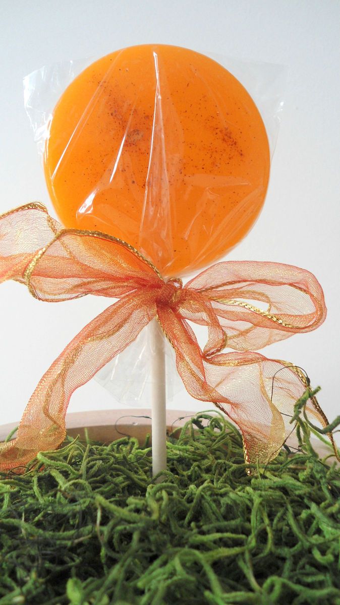 Pumpkin Spice Gourmet Lollipops Set of 7 Autumn Party Favors