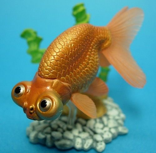  20New%20Figure/Aquarium%20Fish%20in%20Colour%20I/Celestial%20Eye 1