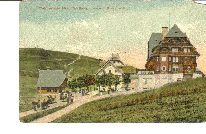 You are bidding on a vintage postcard of Feldberger Hof Feldberg