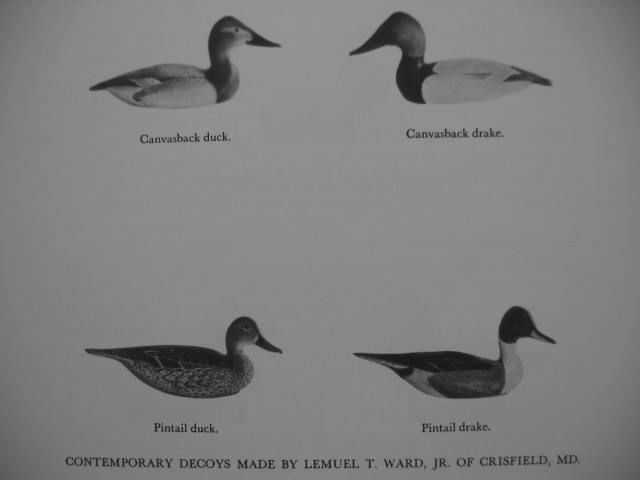 1947 Duck GOOSE Hunting Decoy Call Winchester Remington Prints HB DJ