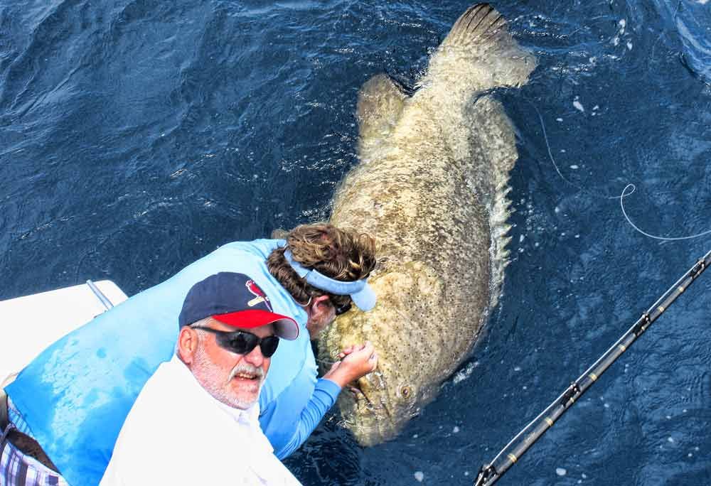 The Biggest 12 0 VMC Big Game Double Hook Grouper Tuna Shark Halibut