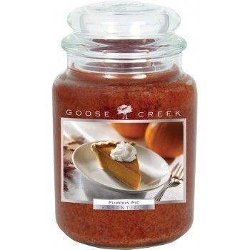 New 26oz GOOSE Creek Pumpkin Pie Jar Candle