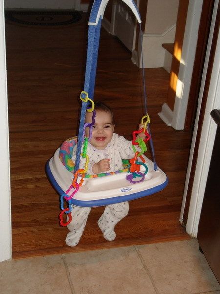 Graco Infant Safari Animal Jumperoo Door Swing