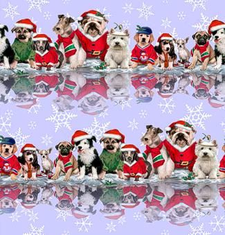 Elizabeths Studio Holiday Dogs by Howard Robinson