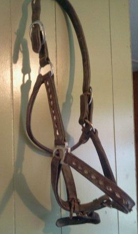 Lot of 9 Used Halters Valhoma Big D Johnson Horse Tack