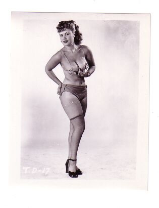 Vintage Irving Klaw Female Pin Up Model 4x5 Photograph