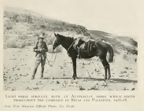 Australian Military Campaigns WWI 1914 1918 Gallipoli