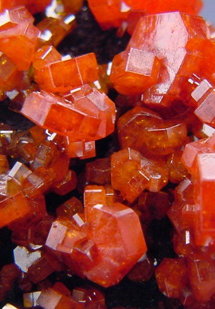 Killer Fire Red Vanadinite Crystal Group