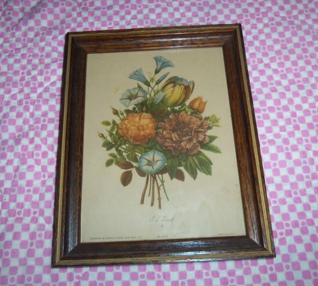 Jean Louis Prevost Vintage French Botanical Print 506B