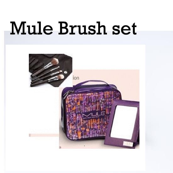 Jeong Saem Mool Mule Brush Set